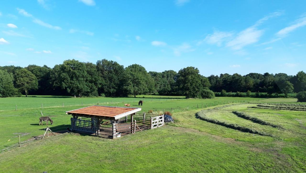 'T Buitenverblijf Erve Punte Losser Exterior photo