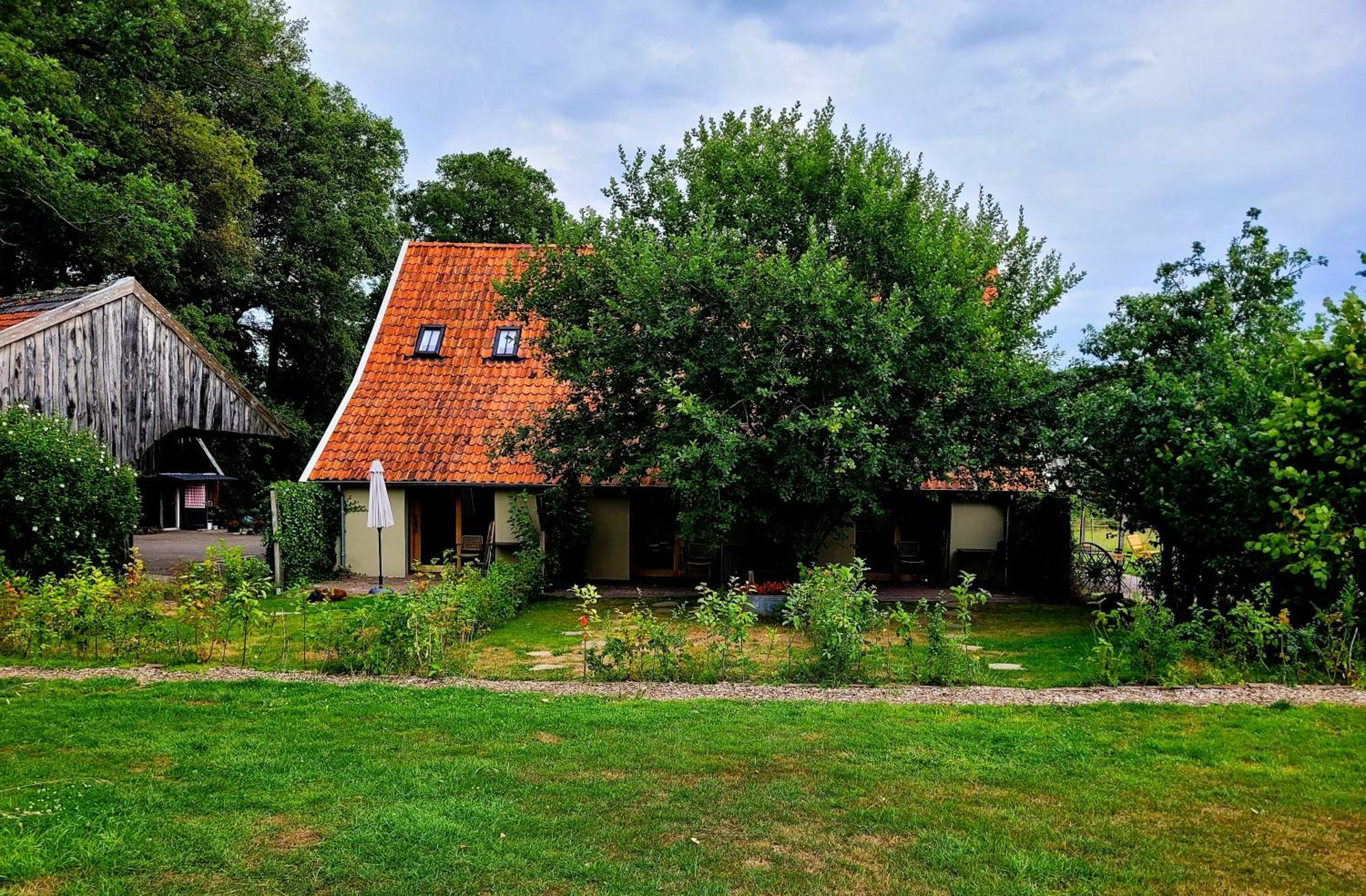 'T Buitenverblijf Erve Punte Losser Exterior photo